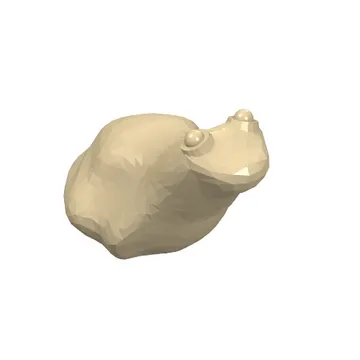 Animal, Frog