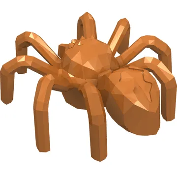 Insect, Spider with Elongated Tail Section