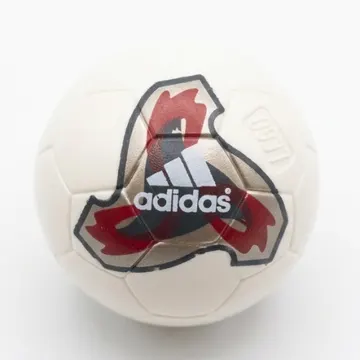 Sports Soccer / Basket Ball with Official World Cup Ball (Fevernova) Print