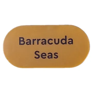Tile Round 2 x 4 with 'Barracuda Seas' print
