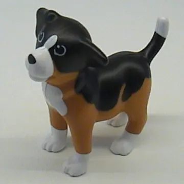 Scala, Animal, Dog Puppy with White Chest, Black Back Print (Sniff)