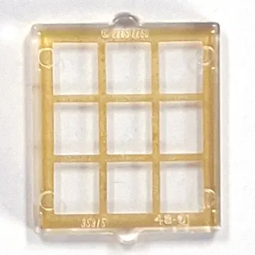 Glass for Window 1 x 2 x 2 Flat with Gold Lattice print