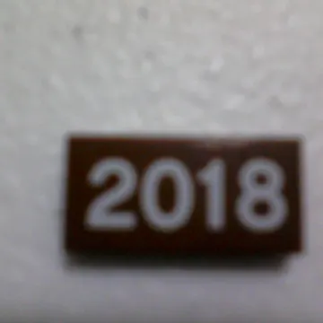 Tile 1 x 2 with White '2018' Print