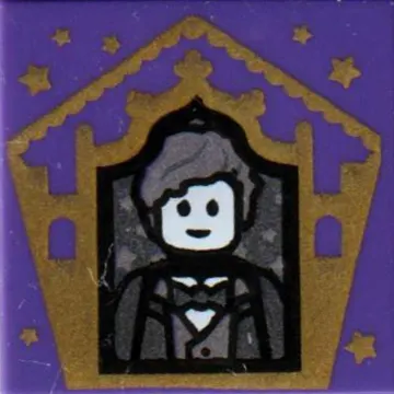 Tile 2 x 2 with Wizard Card Newt Scamander print