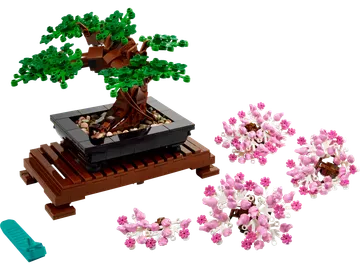 Bonsai Tree