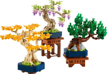 Mini Bonsai Trees