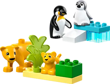 Wild Animal Families: Penguins & Lions