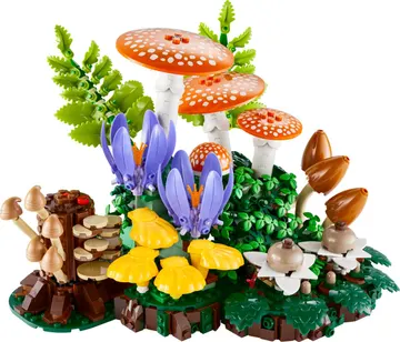 Woodland Mushrooms