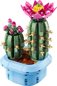 Flowering Cactus