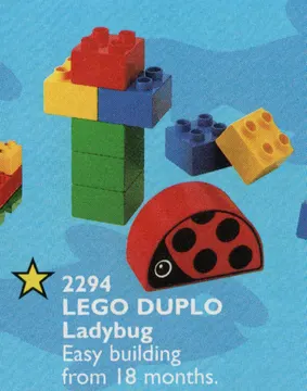 Ladybug
