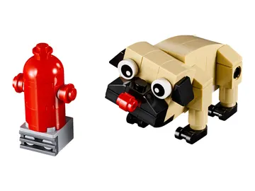 Cute Pug