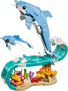 Sea Animals: Beautiful Dolphins