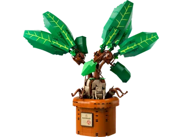 Mandrake