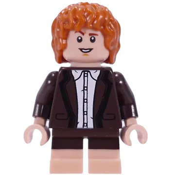 Samwise Gamgee, Dark Brown Suit