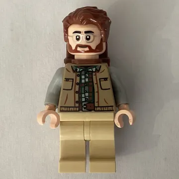 Dr. Henry Loomis