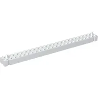 Brick Special 2 x 24 with 2 End Pegs
