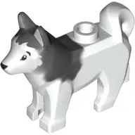 Animal, Dog, Husky with Black Eyes, Black Nose Print and Marbled Dark Bluish Gray Ears and Back Pattern