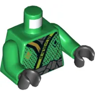 Torso Robe with Diamonds and Black and Lime Trim, Tied Black Belt Print (Lloyd), Green Arms, Black Hands