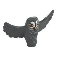 Animal, Bird, Owl Small with Open Wings, Bright Light Orange Eyes, Beak, White Face, Feathers print