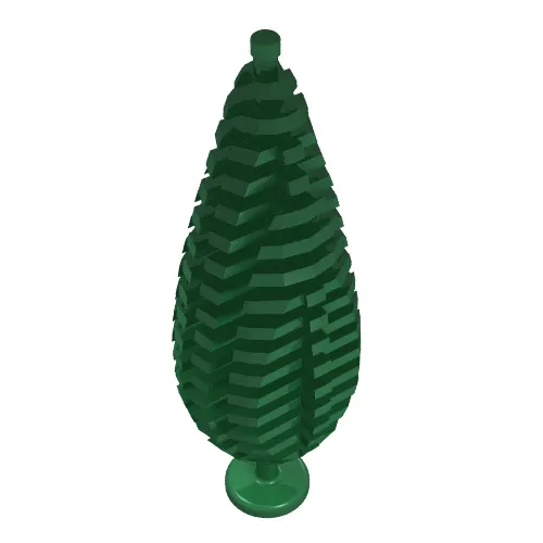 Plant, Tree Cypress