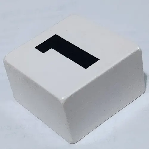 Duplo Tile 2 x 2 x 1 with '1' Print