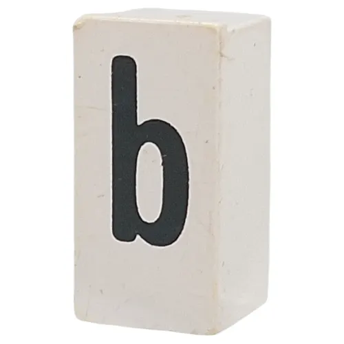 Tile Special 1 x 2 x 5/6 with Stud Hole in End with 'b' print