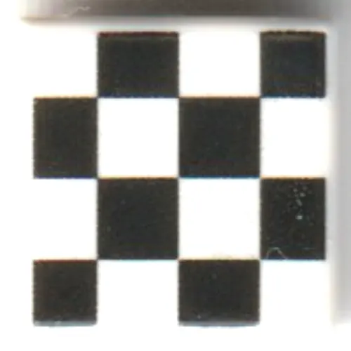 Tile 1 x 1 with Black /White Checkered print