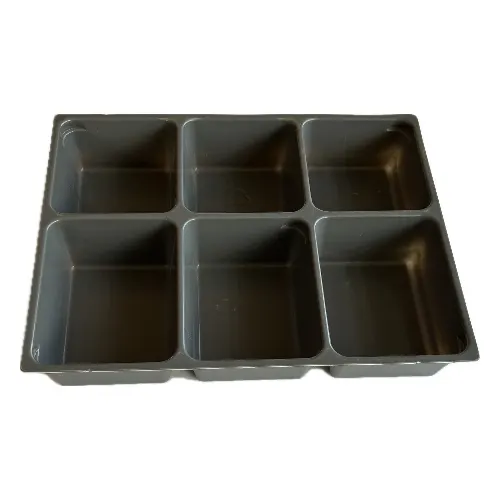 Storage / Sorting Tray, Six Compartment