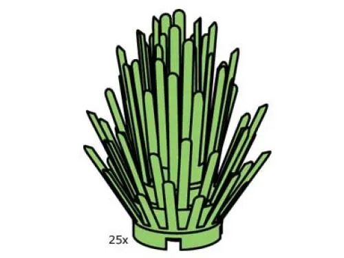 Bush