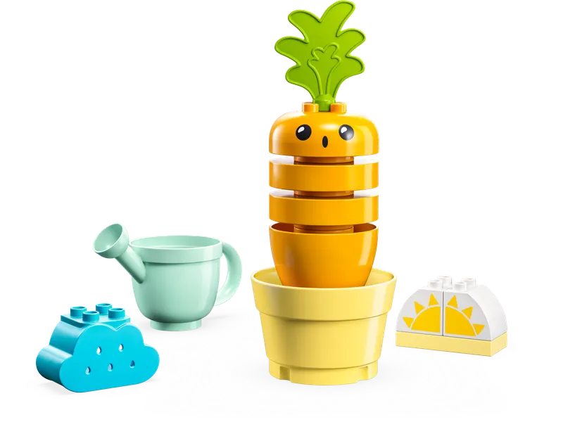 Growing Carrot