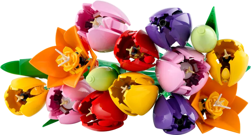 Tulip Bouquet