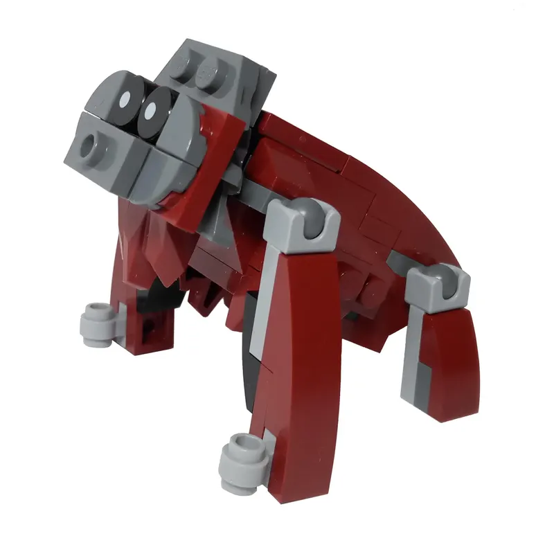 Orangutan