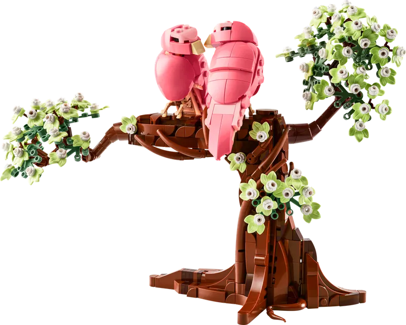 Love Birds