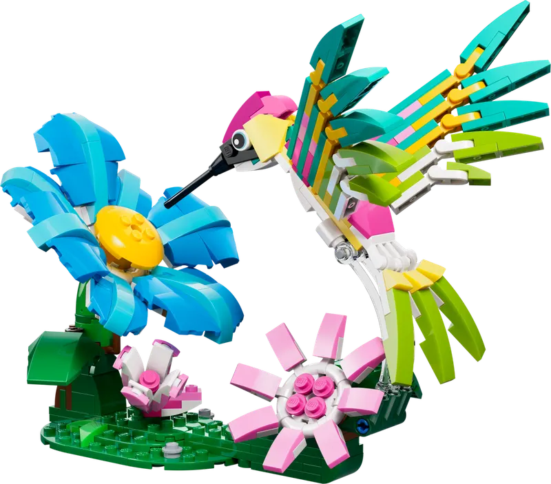 Wild Animals: Colorful Hummingbird