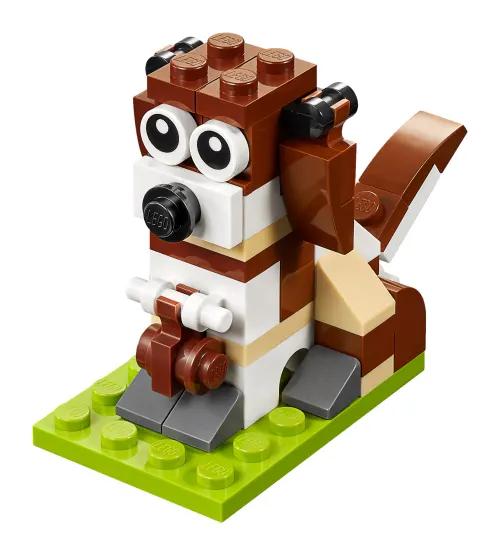 St. Bernard Dog