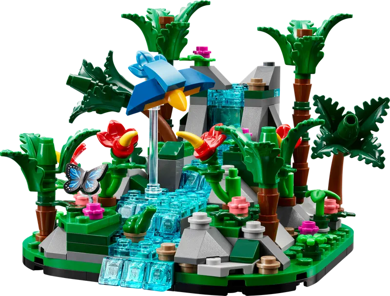 Tropical Rainforest Diorama