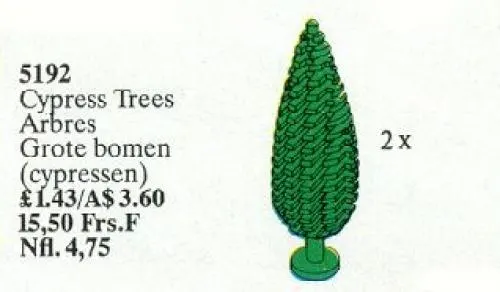 Cypress Trees