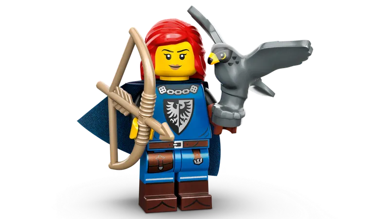 Falconer