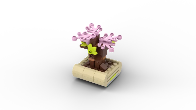 Lovely Bonsai Tree